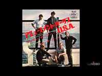 pochette album Amusement parks, u.s.a.