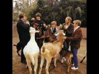 pochette album God only knows (stereo mix)