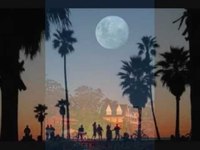 pochette album Here comes the night