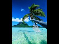 pochette album Island fever