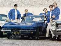 pochette album She's got rhythm