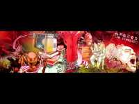 pochette album Destined solitaire