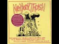 pochette album Riot fight