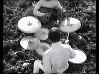 pochette album I want to tell you