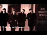 pochette album Nothin' shakin'