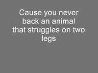 pochette album Final spark