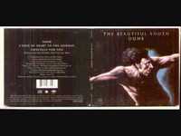 pochette album I sold my heart to the junkman