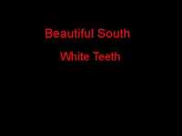 pochette album White teeth