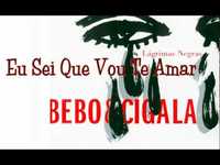 pochette album Eu sei que vou te amar