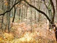 pochette album Climacide