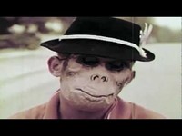 pochette album America, here's my boy