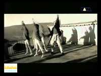 pochette album You made me believe in magic