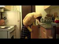 pochette album Everything has been repaired