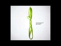 pochette album Spider webs / insect eyes