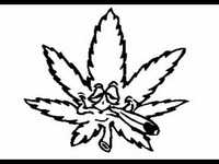 pochette album Brand