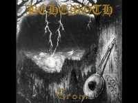 pochette album The dark forest