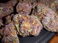 pochette album Game of life