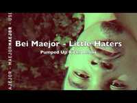 pochette album Little haters