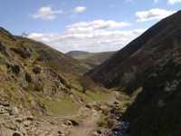 pochette album Agnus dei