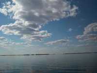 pochette album Forget about me