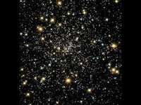 pochette album Your firefly