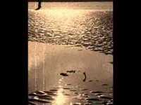 pochette album Alone