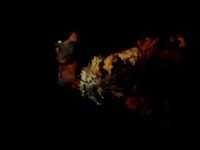 pochette album Red slurpee