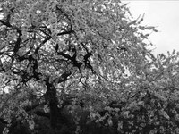 pochette album Belle journee