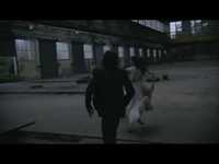 pochette album La superbe