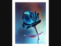 pochette album Cold in my bed