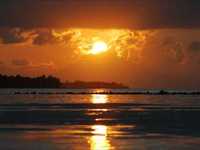 pochette album Sag noch einmal ich liebe dich