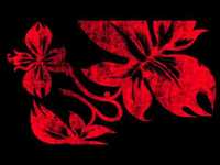 pochette album Etsia