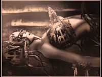 pochette album Never hated more