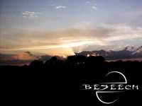 pochette album Silverstar