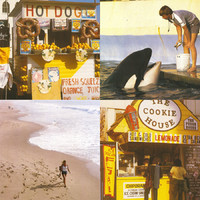 pochette album Wish he was you