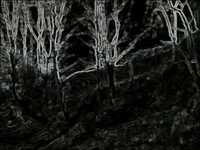 pochette album Assessment [c swing's bootleg mix]