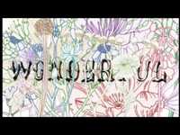 pochette album Wonderful