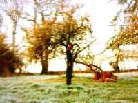 pochette album Mysteries