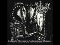 pochette album Tote weisse marder