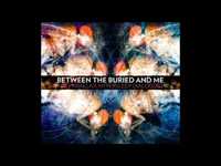 pochette album Specular reflection