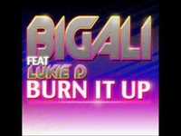 pochette album Burn it up