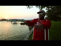 pochette album The thickets