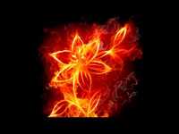 pochette album Far from me to you