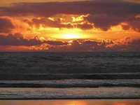 pochette album Trouble the waters