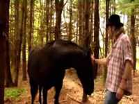 pochette album Long after i'm gone