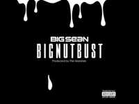 pochette album Big nut bust