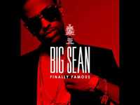 pochette album Celebrity