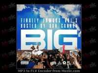 pochette album Fat raps remix