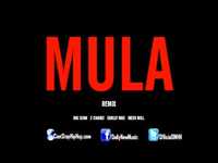 pochette album Mula remix