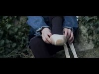 pochette album Swallowing flies